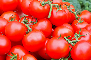 Image showing Organic tomatoes