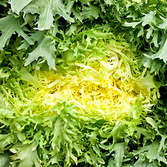 Image showing Salad