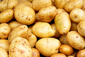 Image showing Yellow potatoes