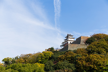 Image showing Marugame Castle