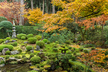 Image showing Japanese garden park