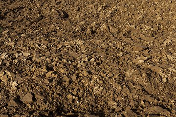 Image showing Brown agricultural soil