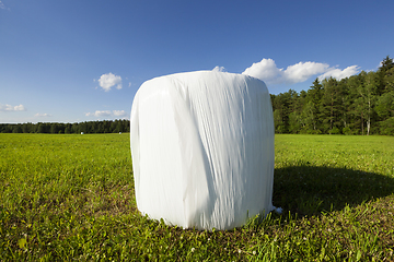 Image showing Bale of hay