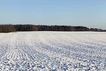 Image showing plowed agricultural field covered by snow