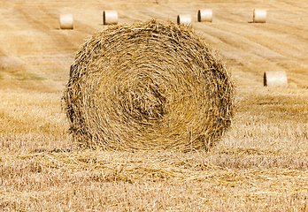 Image showing Rolls of haystacks