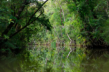 Image showing Masoala National Park landscape, Madagascar