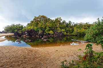 Image showing Masoala National Park landscape, Madagascar