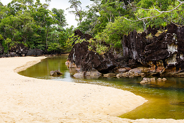 Image showing Masoala National Park landscape, Madagascar