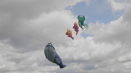 Image showing MOSCOW - AUGUST 27: Feast of kites in the park on August 27, 2017 in Moscow, Russia