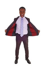 Image showing African man standing in suit and tie