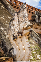 Image showing Dragon statue, Wat Chedi Luang temple big Stupa, Chiang Mai, Tha