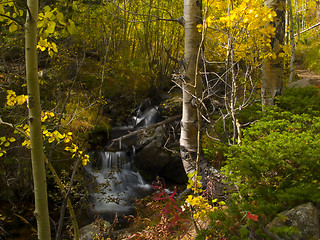 Image showing Autumn Colors and Brook