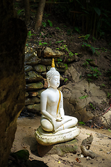 Image showing Buddha statue in jungle, Wat Palad, Chiang Mai, Thailand