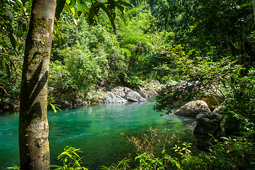 Image showing River in jungle rainforest, Khao Sok, Thailand