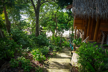 Image showing Traditional tropical hut in Koh Lipe, Thailand