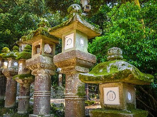 Image showing Kasuga-Taisha Shrine lanterns, Nara, Japan