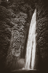 Image showing Red Coral Waterfall, Munduk, Bali, Indonesia