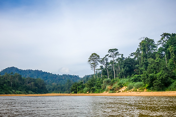 Image showing River and jungle in Taman Negara national park, Malaysia