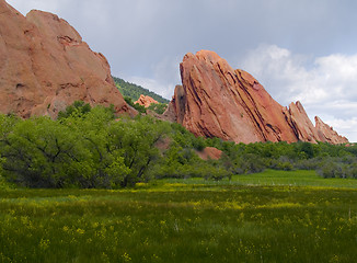 Image showing Red Rocks in Bloom