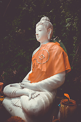 Image showing Buddha statue in jungle, Wat Palad, Chiang Mai, Thailand