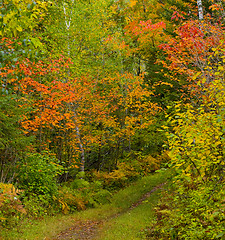 Image showing September Colors