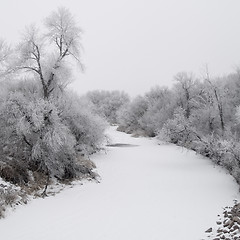 Image showing Winter Creek