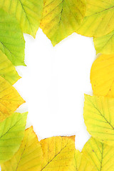 Image showing Autumn frame