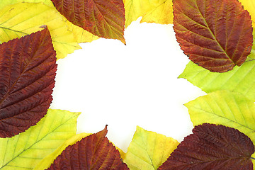 Image showing Autumn frame