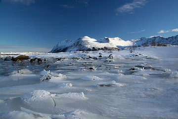 Image showing Frozen Fjord near Leknes, Lofoten, Norway