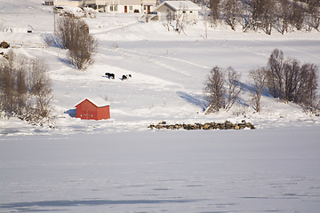 Image showing The region Troms, Norway