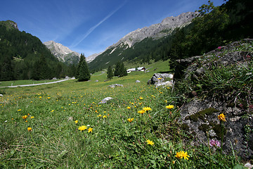 Image showing Alps