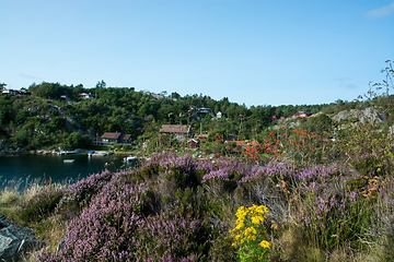 Image showing Rossnes, Nordfjorden, Norway