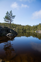 Image showing Way to the Preikestolen, Rogaland, Norway