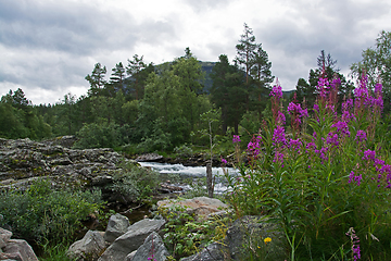 Image showing River Rauma, Oppland, Norway