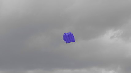 Image showing Blue kite soaring in the sky