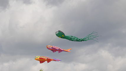 Image showing MOSCOW - AUGUST 27: Feast of kites in the park on August 27, 2017 in Moscow, Russia