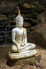 Image showing Buddha statue in jungle, Wat Palad, Chiang Mai, Thailand