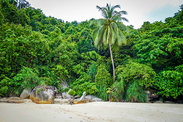 Image showing Teluk Pauh beach in Perhentian Islands, Terengganu, Malaysia