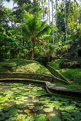 Image showing Pond and jungle in Goa Gajah elephant cave temple, Ubud, Bali, I