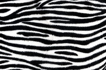 Image showing Zebra fur background texture