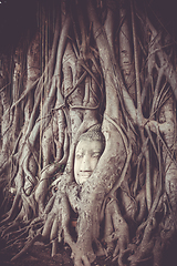Image showing Buddha Head in Tree Roots, Wat Mahathat, Ayutthaya, Thailand