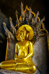 Image showing Buddha in Wat Suwan Kuha temple, Thailand