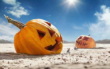 Image showing Big pumpkin in desert at sunny day, sales and halloween concept