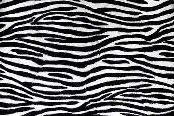 Image showing Zebra fur background texture