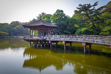 Image showing Ukimido Pavillion on water in Nara park, Japan