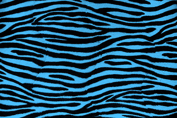 Image showing Blue zebra fur background texture