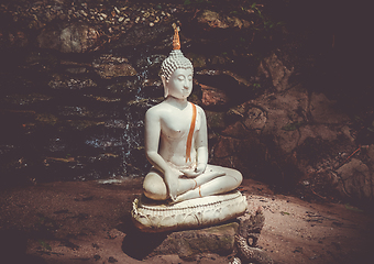 Image showing Buddha statue in jungle, Wat Palad, Chiang Mai, Thailand