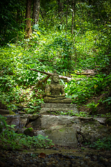 Image showing Buddha statue in jungle, Wat Palad, Chiang Mai, Thailand