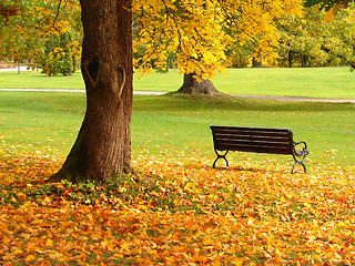 Image showing City park in autumn