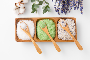 Image showing sea salt with wooden spoons and herbs